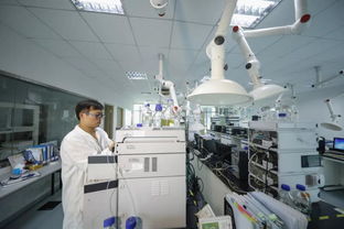 江宁生命科技小镇 国家级博士后科研工作站领航网络技术研发与服务新未来